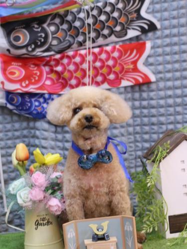 20230517クッキーくん